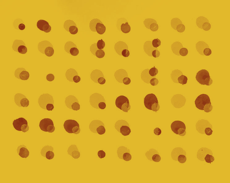 datavisualisations-observations-mono