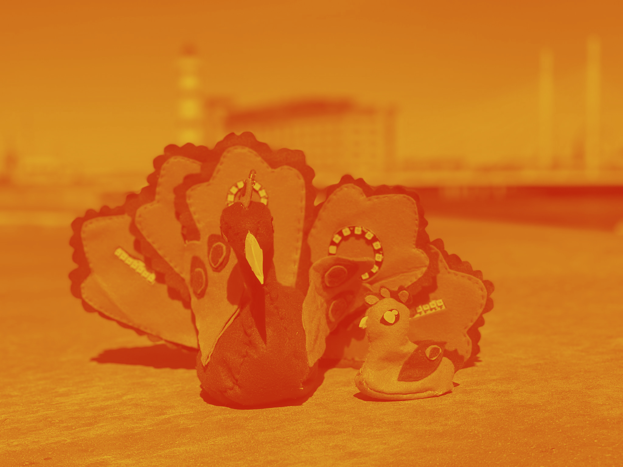 peacock_and_chick