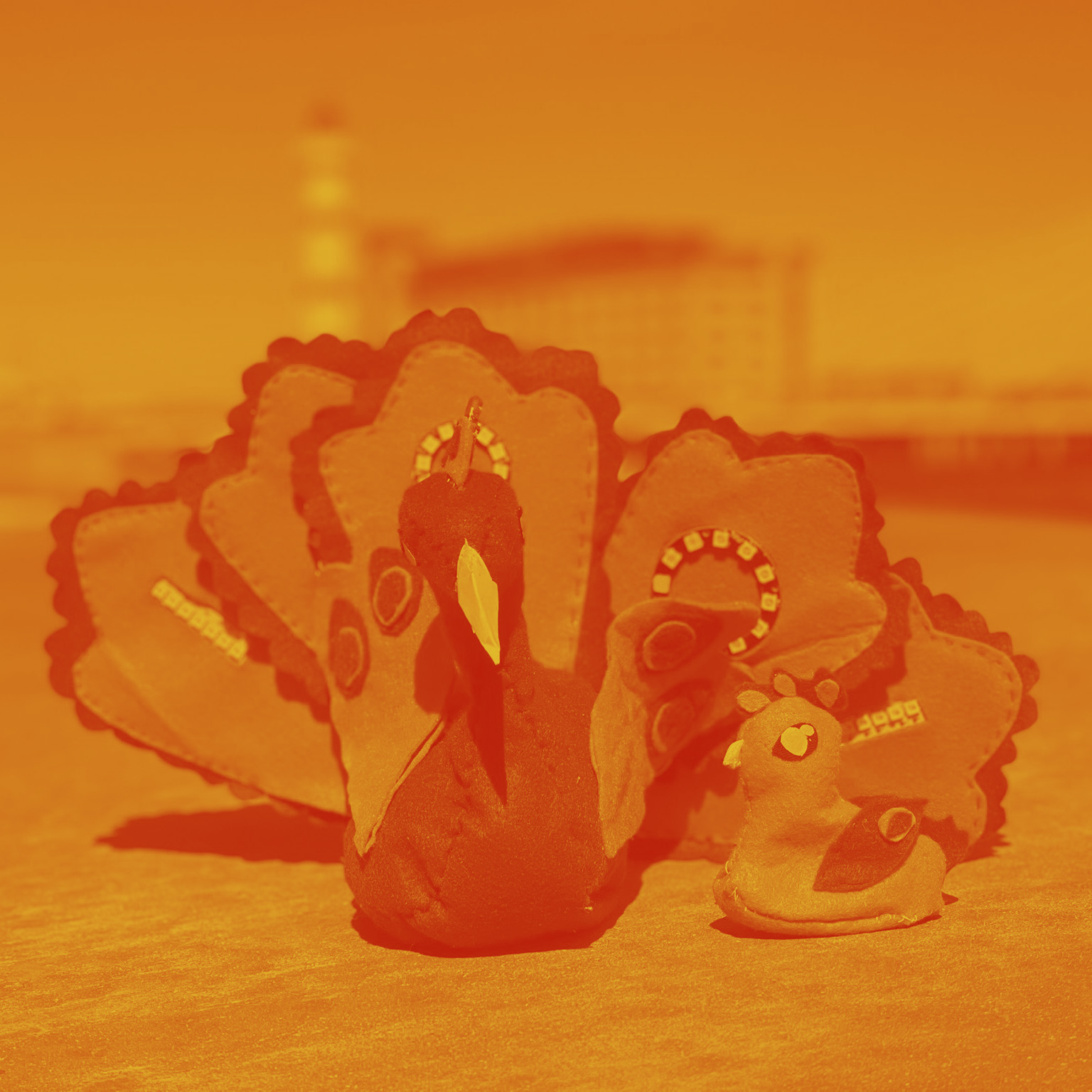 peacock_and_chick